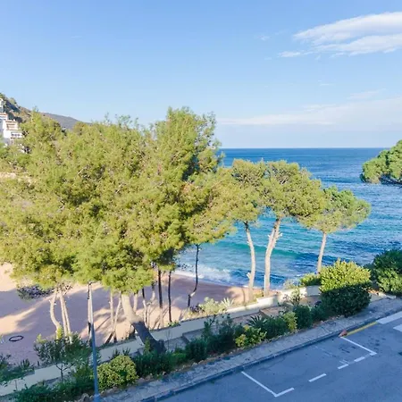 Club Villamar - Ribo Villa